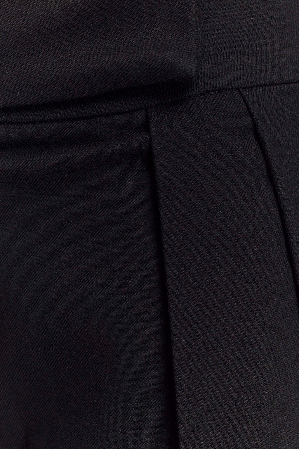 Penelope Pleated High Waisted Pants - Black