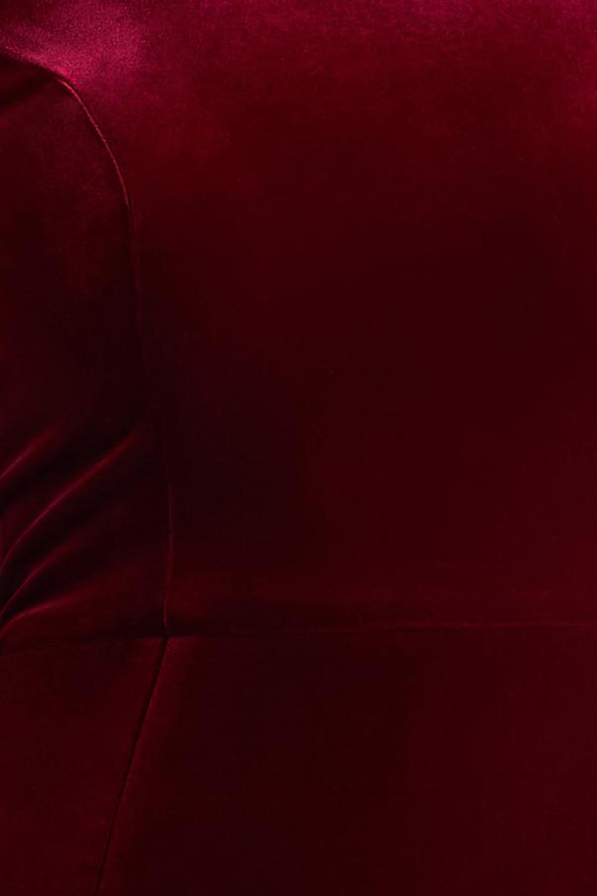 Margot | Burgundy High-Neck Velvet Mini Dress With Embellished Detail