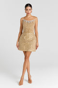 Savannah Gold Dress