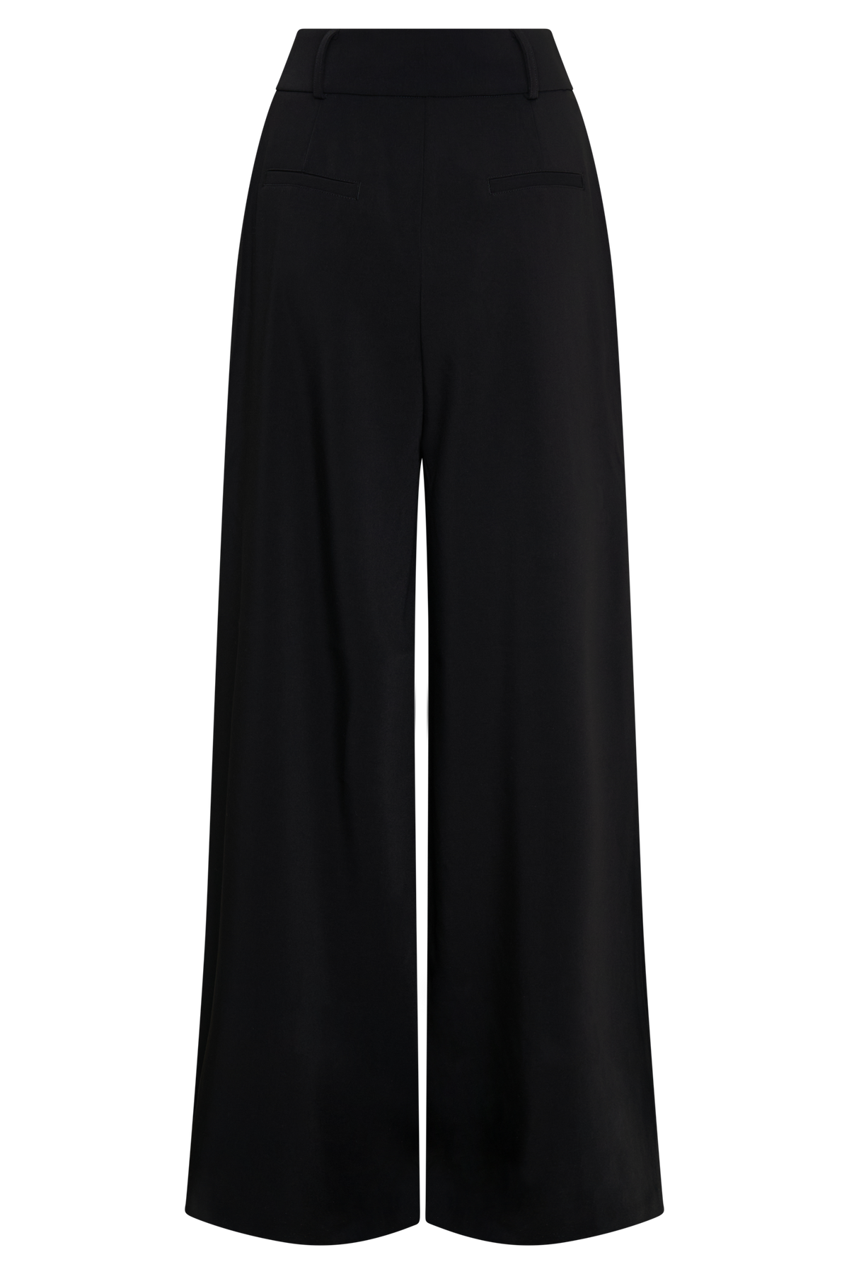 Jacqueline Pleated Wide Leg Pants - Black