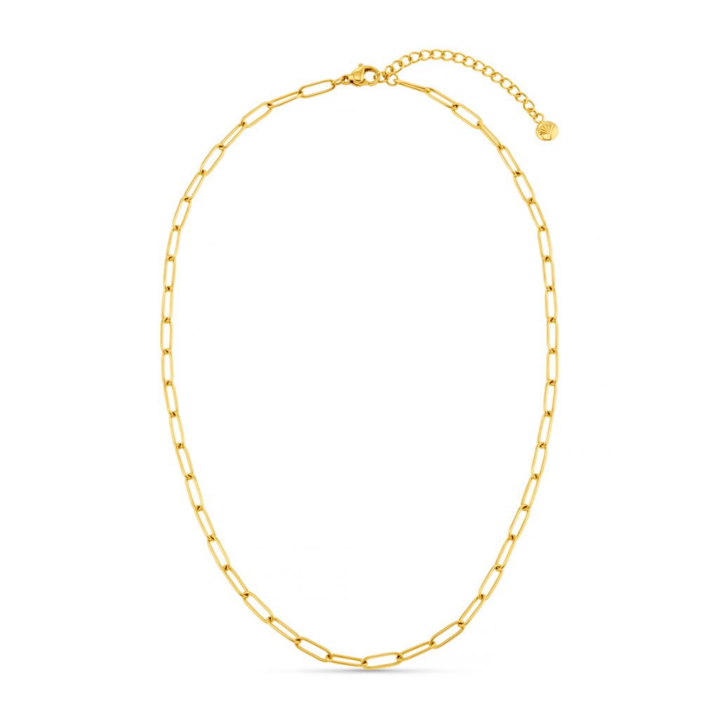 LUXE Fine Oval Link Chain Necklace