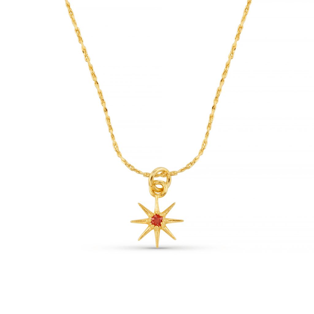 January Birthstone Garnet Necklace